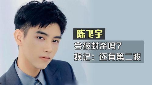 陈飞宇第二波爆料视频,揭秘娱乐圈背后真相